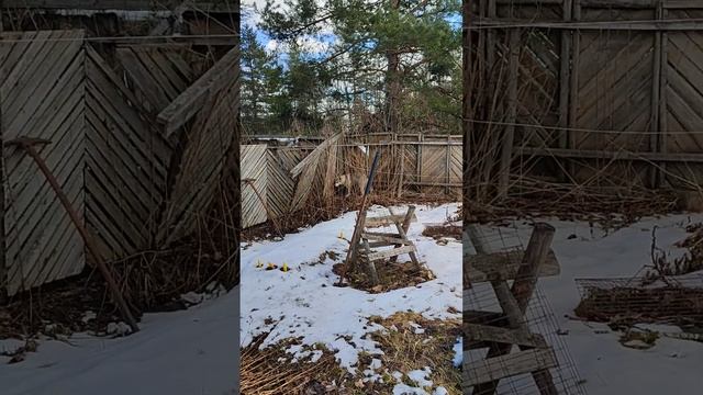 серый Гость на участке смотреть онлайн