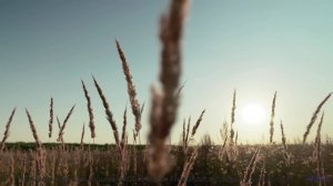 Эта мелодия - голос из иного мира! - 05 Eternal-Funk-Palace -- Ketsa -- Free and Beautiful