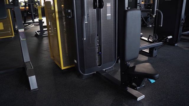 Баттерфляй - задние дельты DHZ E-7007