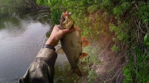 Язь и чехонь в мае на воблер Zipbaits Khamsin Tiny 40 DR.