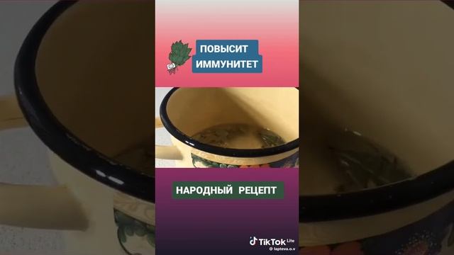 Зелёная здравница 9