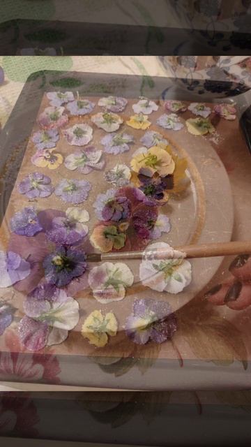 Пора покупать семена анютиных глазок смотреть онлайн