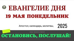 19 МАЯ ПОНЕДЕЛЬНИК ЕВАНГЕЛИЕ ДНЯ  2025 #мирправославия #евангелие