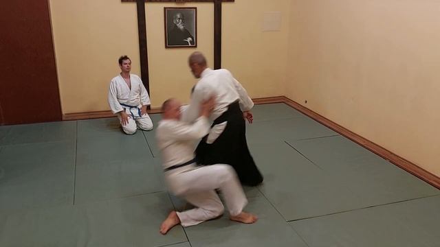 Айкидо различные техники