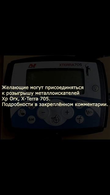 Розыгрыш металлоискателей Xp Orx, X Terra 705 #shorts смотреть онлайн