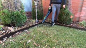 Аккумуляторный воздуходув Greenworks GD82ABII: обзор и тест