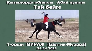 🐎 26.04.25 Тай бәйге с. Абай, Кызылординская обл., Казахстан 🥇 1-место Мираж (Балтик-Муэрра)