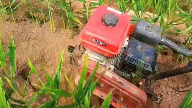 Mini power tiller #weeder #powerweeder #powertiller #tiller #культиватор #耕運機 #min смотреть онлайн