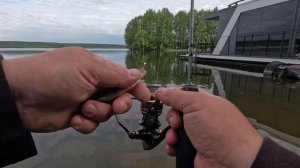 Отличная мормо рыбалка.Воронежское водохранилище