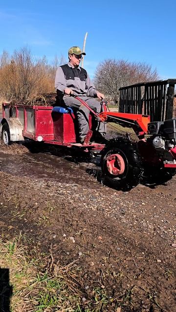 Мотоблок Беларус 09Н МТЗ с тележкой #мтз #farming смотреть онлайн