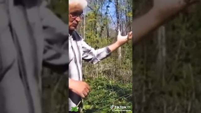 Зелёная здравница 2