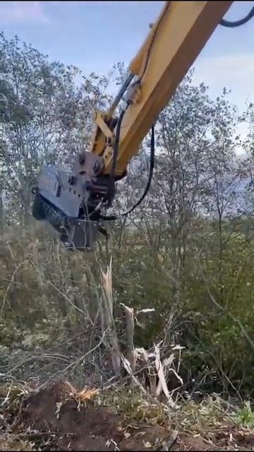 Roxton мульчер смотреть онлайн