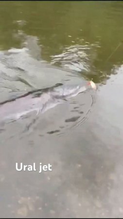 Скоро сезон, который с нетерпением ждём! Уже запланировали два похода! Берегите и любите природу!