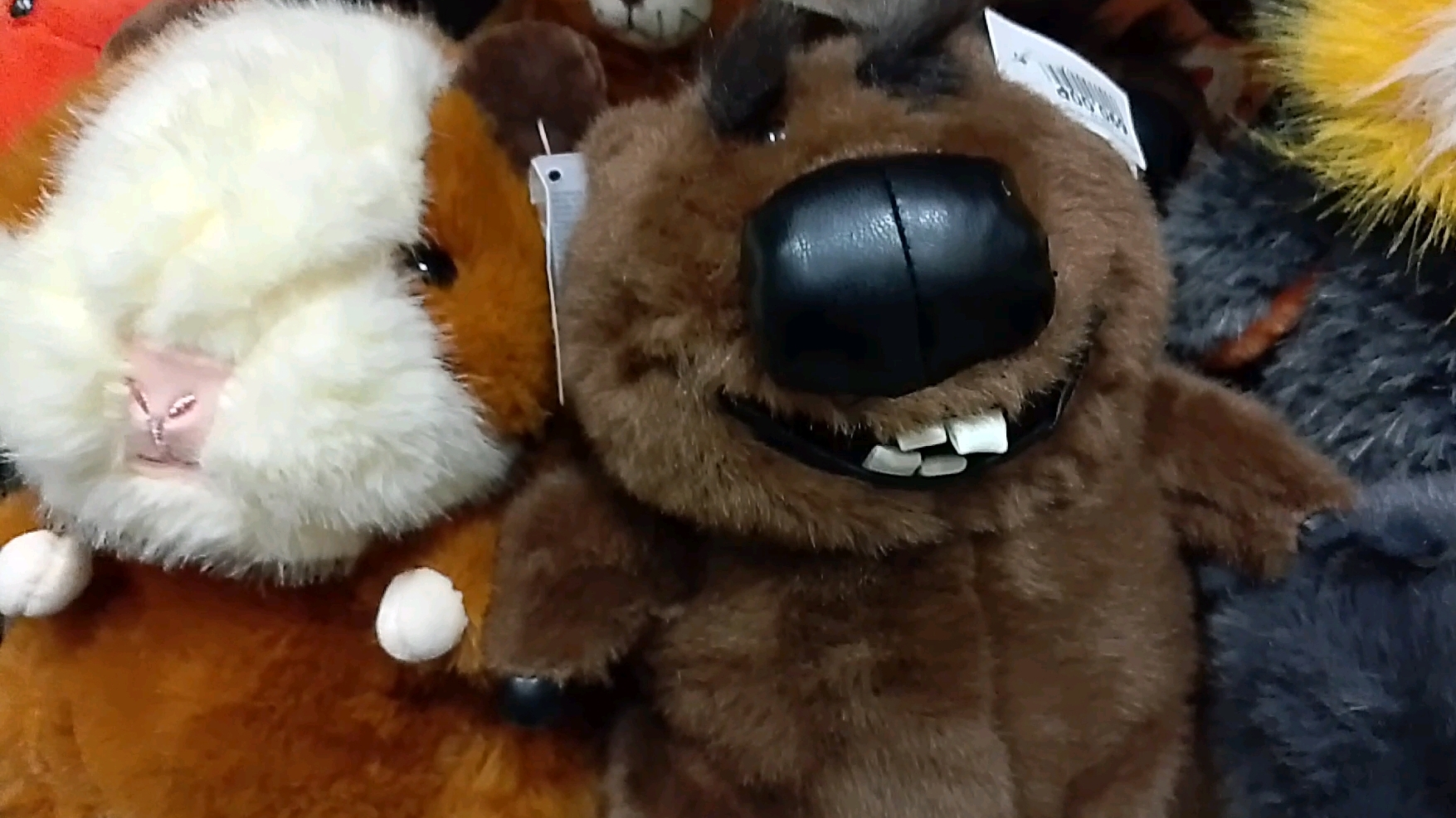 18-05-2025обзор товара/Баксик и жук/дорога домой/комментарии🌺🌺🌺