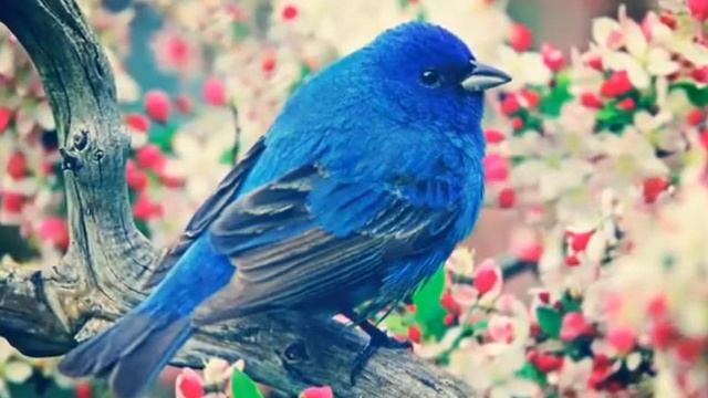 Красивые картинки. смотреть онлайн