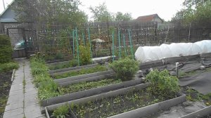 НА ДАЧЕ ПОСЛЕ ДОЖДЕЙ