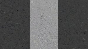 Позвала одну, прибежали со всех сторон