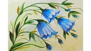 Как просто и красиво нарисовать цветы колокольчики акварельными красками.