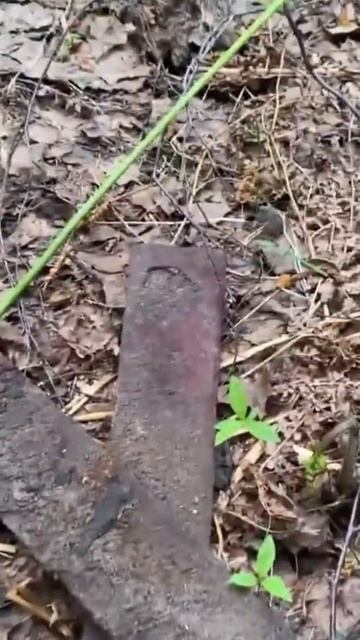 Находка ч.164🔥🔥 #леснойскобарь#2024 #коп#металлоискател смотреть онлайн