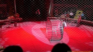 МОСКОВСКИЙ ЦИРК В ДОНЕЦКЕ МАЙ 2025