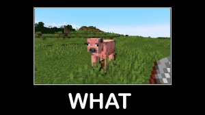 Подождите, что за Майнкрафт #13