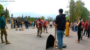 Рыцарский турнир