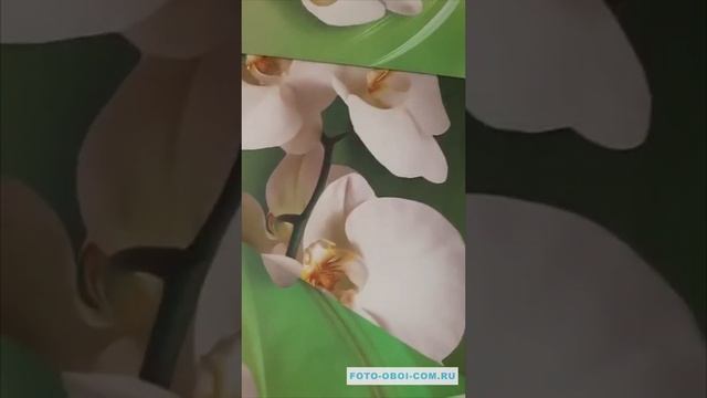 Отзыв foto-oboi-com.ru смотреть онлайн