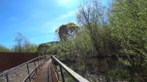 Прогулялись по Ивинской тропе в логу, Пермь,  17 мая 2025