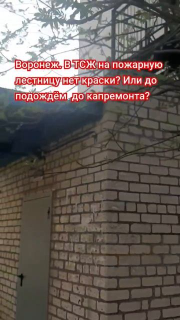 Воронеж. В ТСЖ на пожарную лестницу нет краски? Или до ? смотреть онлайн