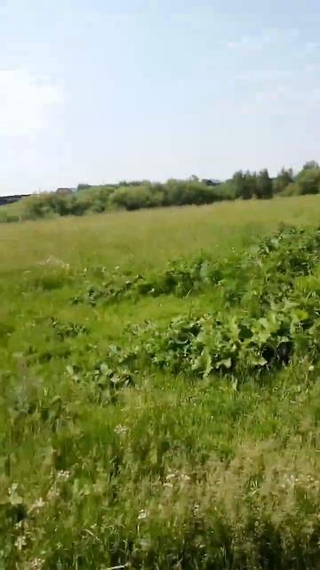 точим топоры смотреть онлайн