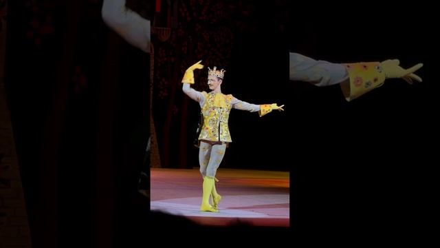 Семен Чудин, Чипполино, Большой театр #bolshoitheatre 09.03.25 смотреть онлайн