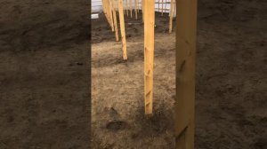 Верхний полив в теплице