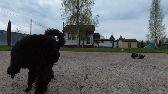 Гарик и машинка