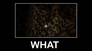 Подождите, что за Майнкрафт #8