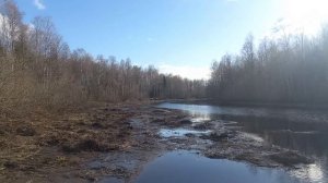 Поработали дома, прогуляемся