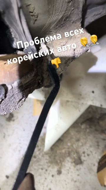 А потом пороги и крылья гниют #kiahyundai смотреть онлайн