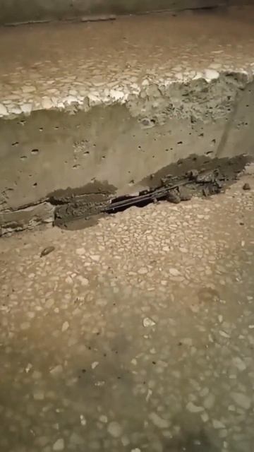 Черная дыра между ступеньками в подвал смотреть онлайн