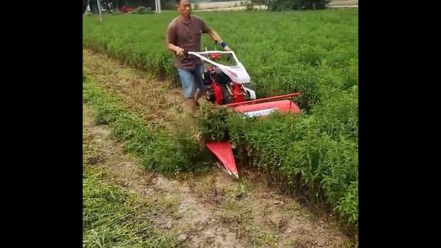 Сельскохозяйственная техника 8hp дизельный воздушный ? смотреть онлайн