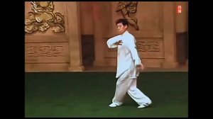 Чэнь Чжэнлэй. Чэньши тайцзицюань лаоцзя эрлу (паочуй) ?