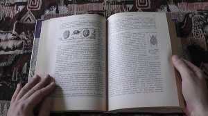 "Инстинкт и нравы насекомых" (Ж.А.Фабр, 1993) ТОМ II