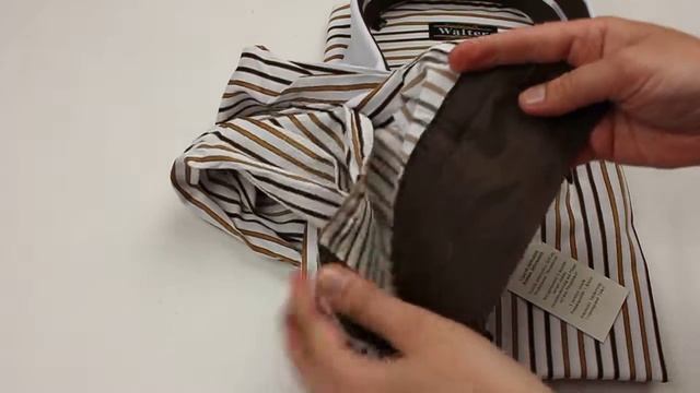 Стильная мужская рубашка Walter модель 1881-10 смотреть онлайн