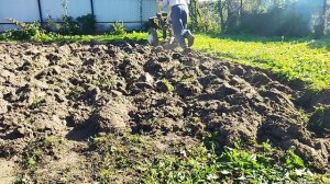 Мотокультиватор, целина и конный оборотный плуг.