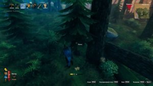 Valheim  бегаем