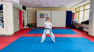 Техника рук: Блок-удар, тхэквондо, taekwondo sport  аттестация
