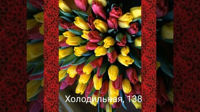 Тюльпаны с теплицы в Тюмени. Также опт смотреть онлайн