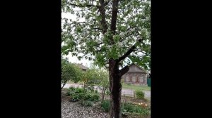 Весна.