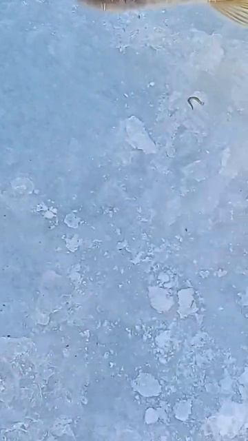 шило на (жерлицы) смотреть онлайн