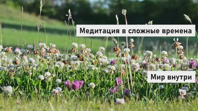 Медитация в сложные времена | Как успокоить ум за 15 минут