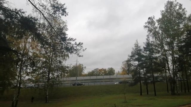 2023.10.14. Погода Петербург. 13:00. +14°. Очень тепло. День десе смотреть онлайн