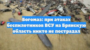 Богомаз: при атаках беспилотников ВСУ на Брянскую область никто не пострадал
